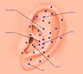 Séance de réflexologie auriculaire et zones réflèxes des oreilles au cabinet à Sion en Valais.  Rendez-vous en ligne.