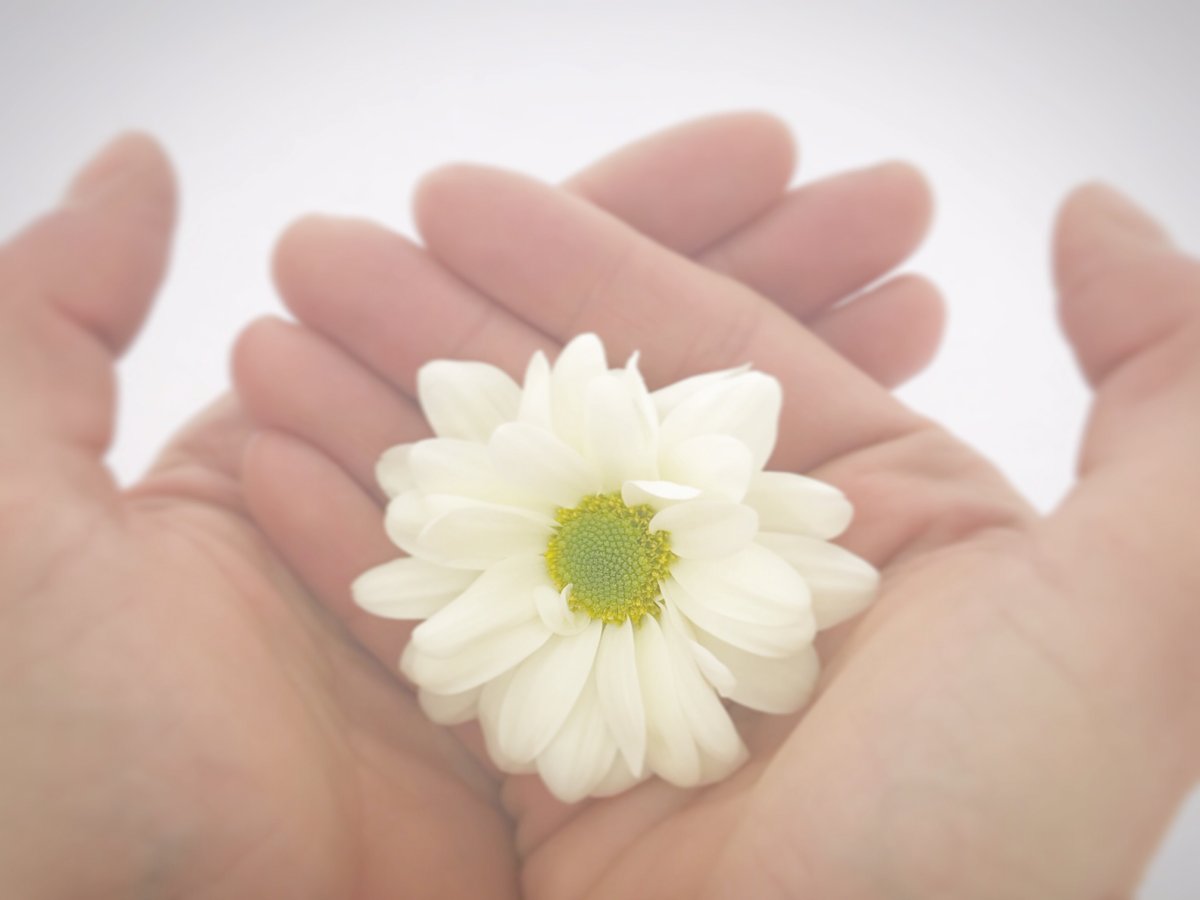 Offrir un bon cadeau